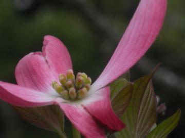 DSCN4427.jpg
