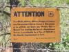 attention_usfs_0.jpg