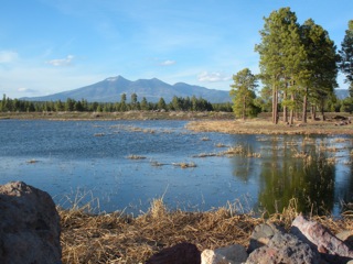 pine_island.jpg